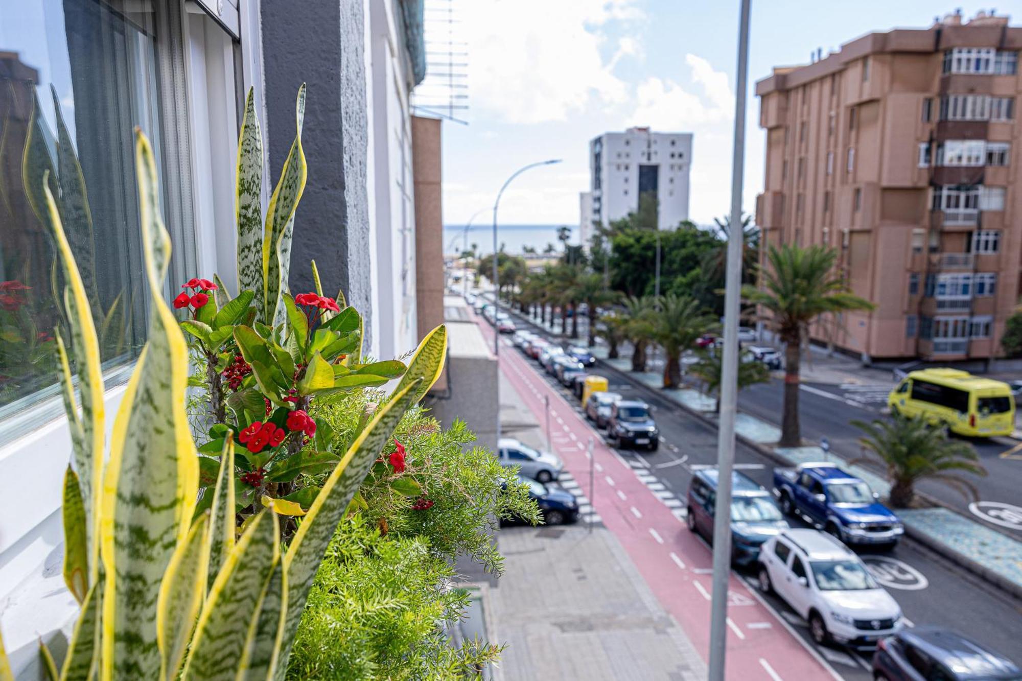 Bambu Suites Vegueta Alquiler Por Habitacion 大加那利岛拉斯帕尔马斯 外观 照片